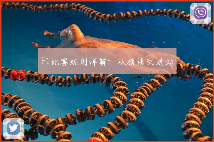 F1比赛规则详解：从旗语到进站