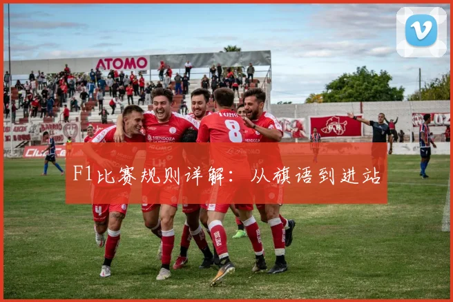 F1比赛规则详解：从旗语到进站